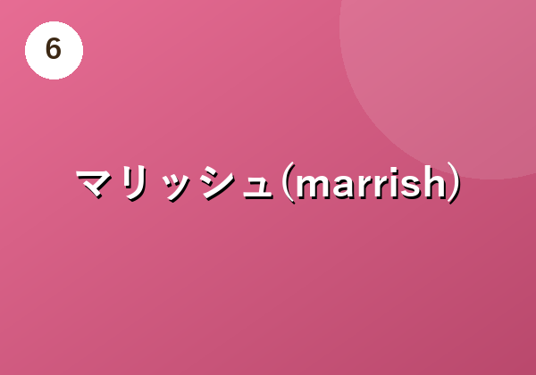 マリッシュ(marrish)